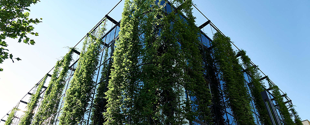 Green living wall covering a glass building facade in a climate-resilient city