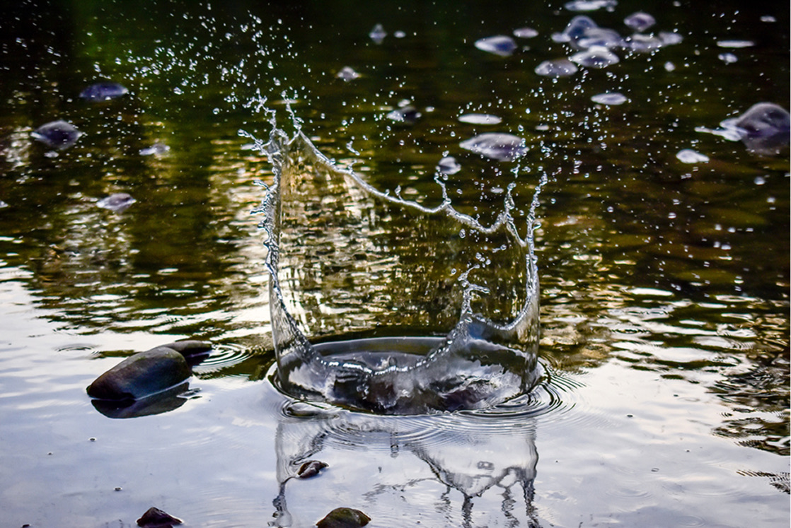 Water droplet splash forming a crown on a calm natural pond
